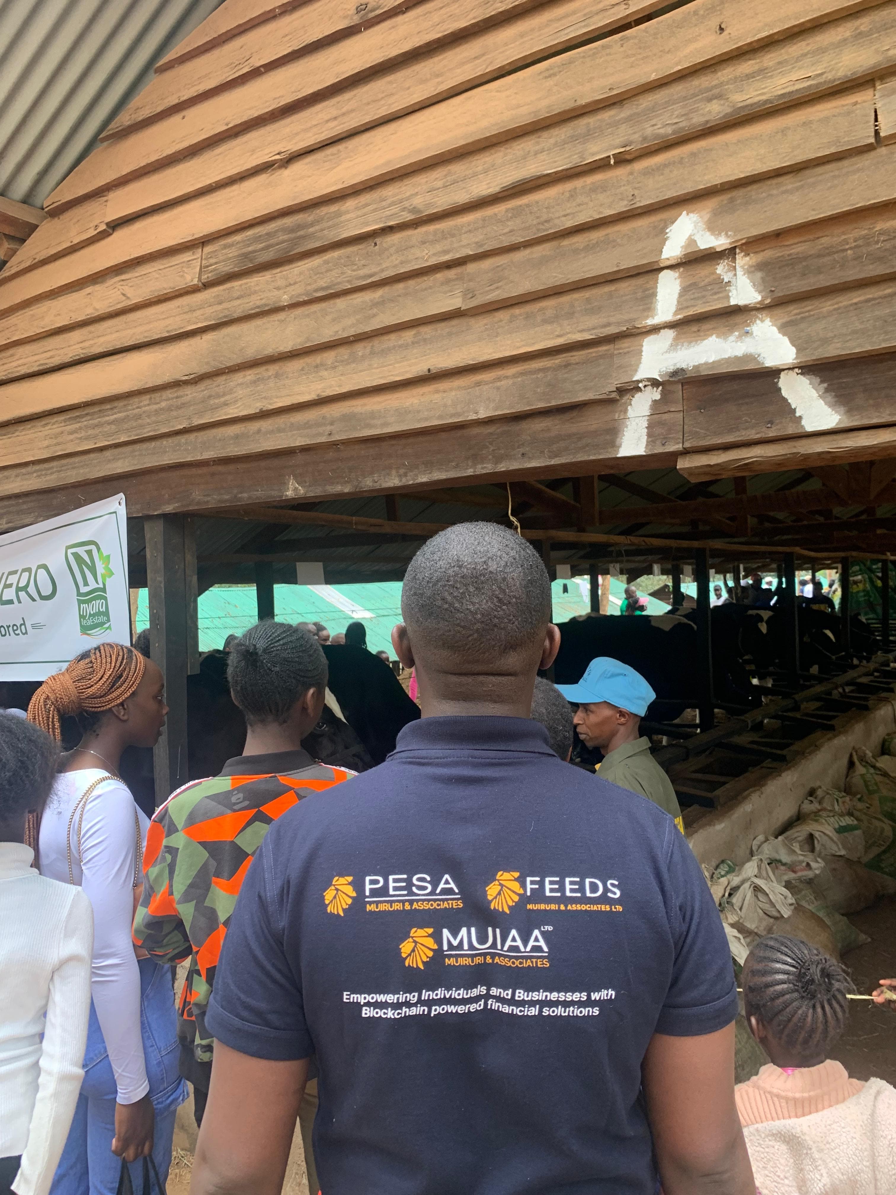 Community event - Members networking